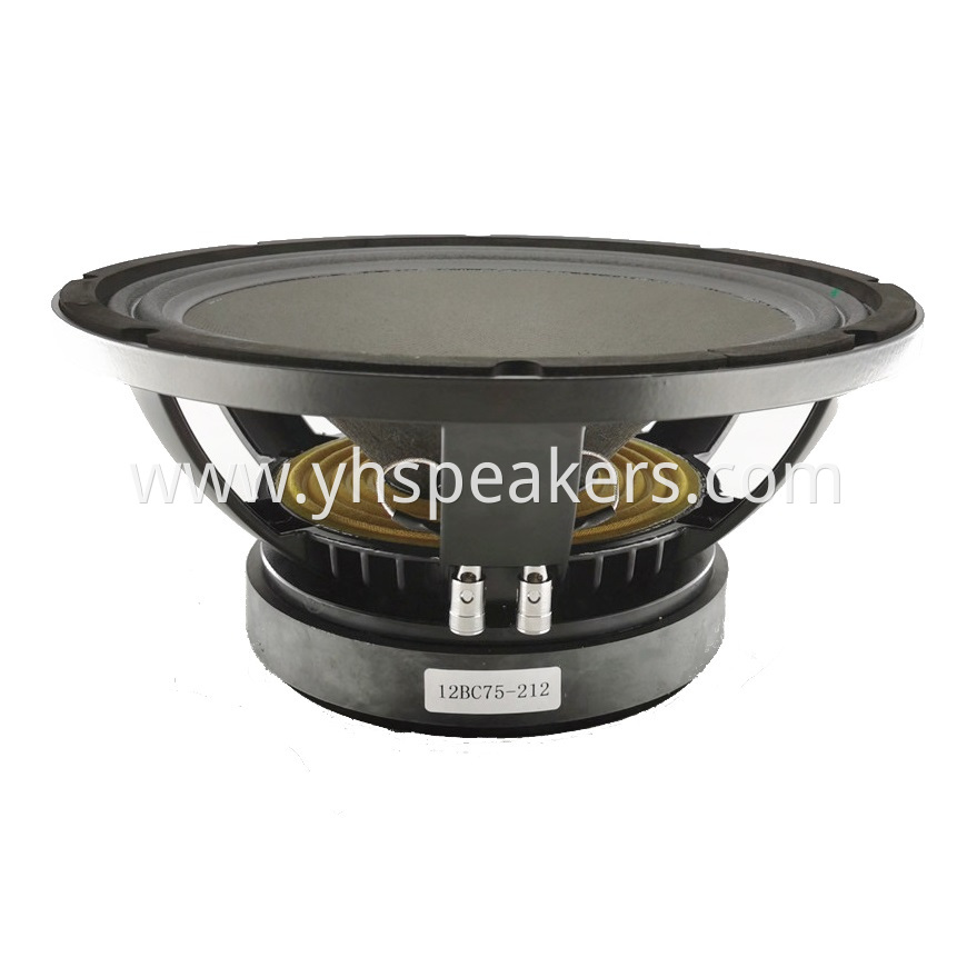 Top Quality 12 Inch Pro Audio Woofer